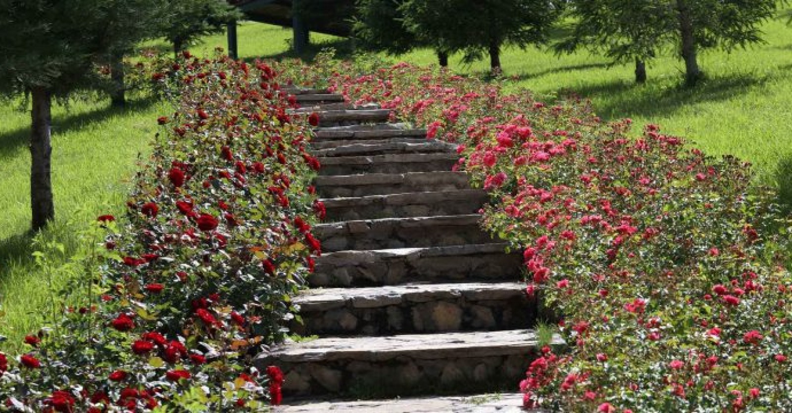 SİNCANLI VATANDAŞLAR SERA PARK’A YENİDEN KAVUŞTU VATANDAŞLAR YEMYEŞİL SERA PARK’TA GÜNEŞLİ HAVANIN TADINI ÇIKARDI