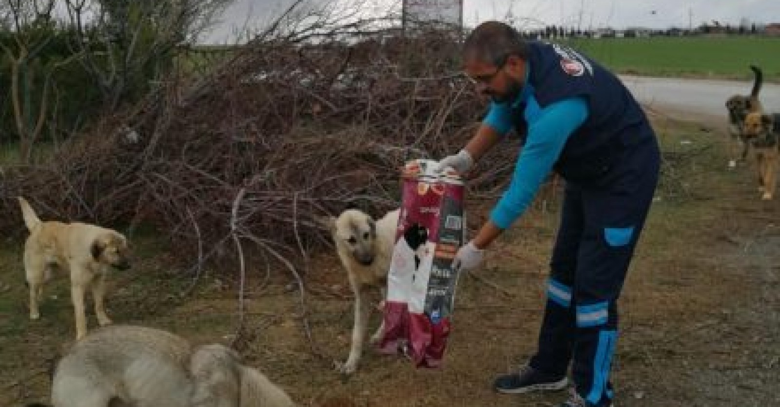 Can dostlarımıza mamalarını düzenli olarak vermeye devam ediyoruz.