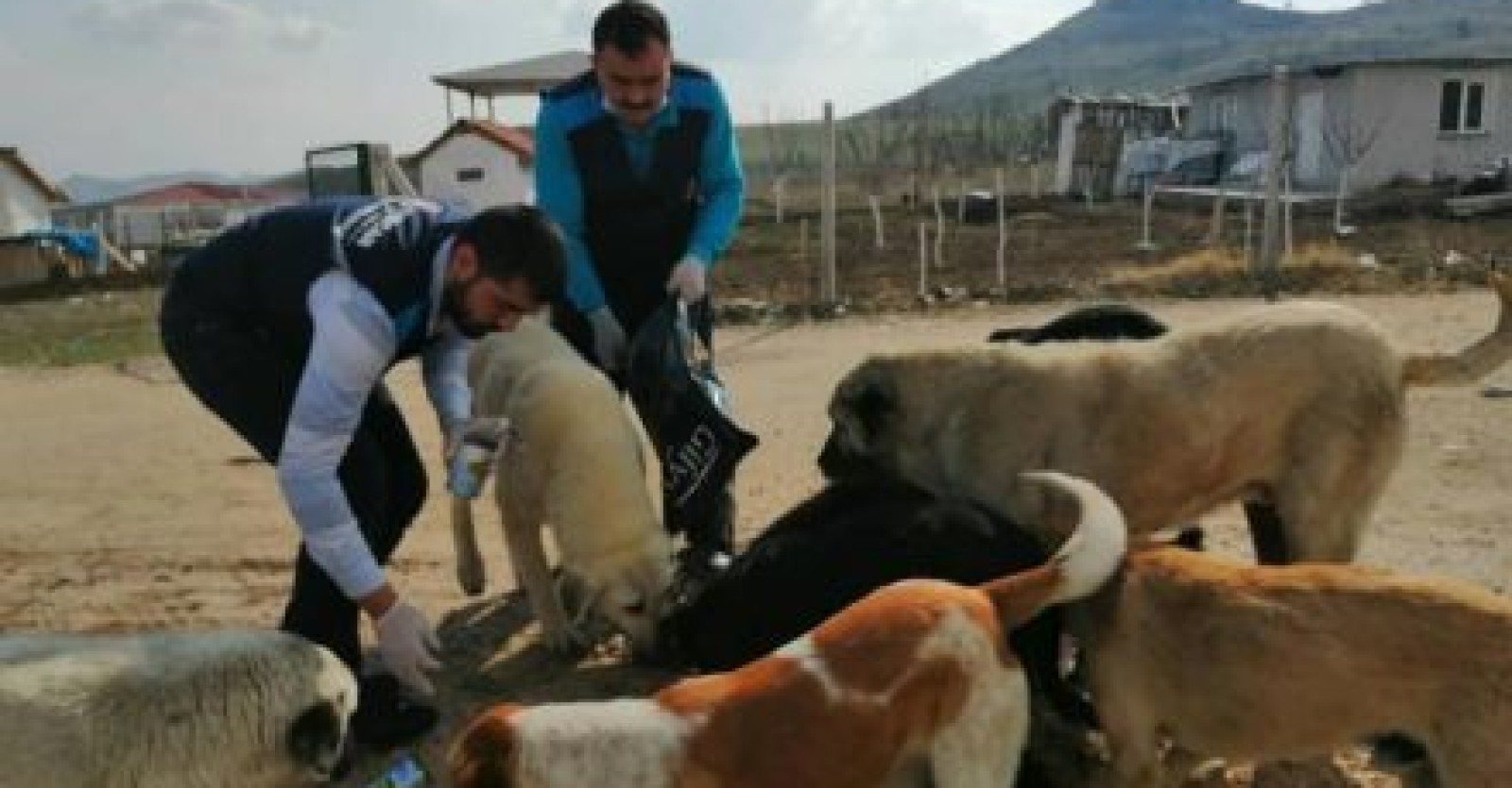 Minik dostlarımızın beslenme noktalarına, mama dağıtımı yaptık.