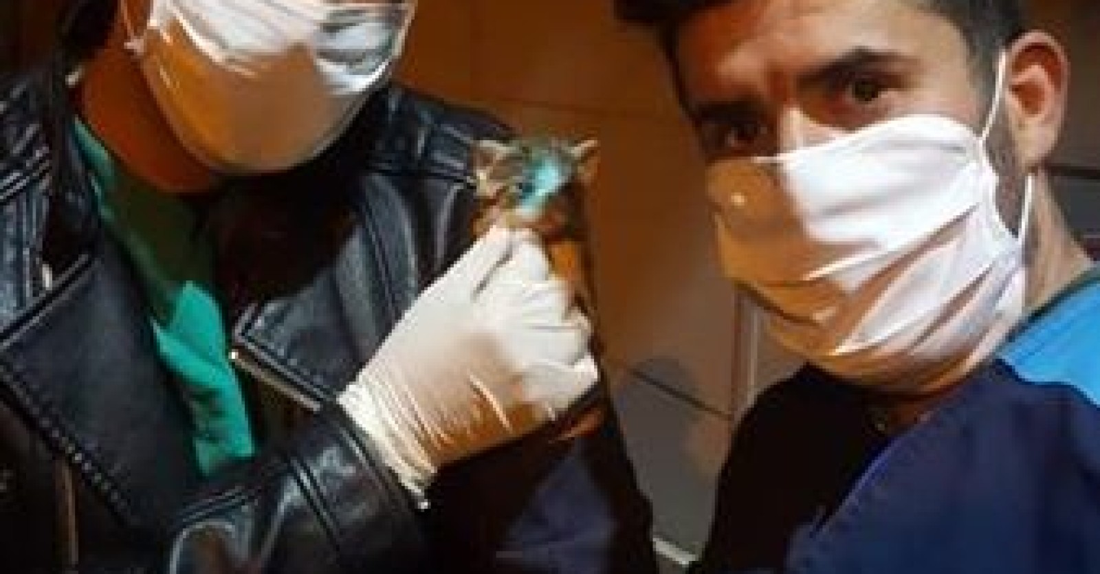 Gece gündüz can dostlarımızın yanındayız!