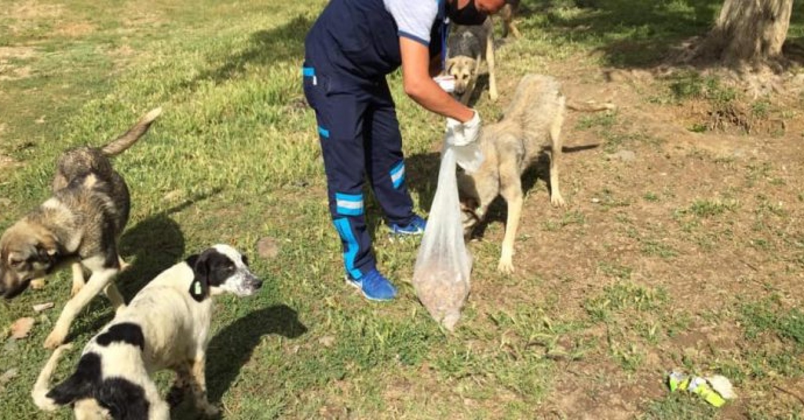 Her can bize emanet anlayışıyla can dostlarımızı besleme çalışmalarımıza aralıksız devam ediyoruz.