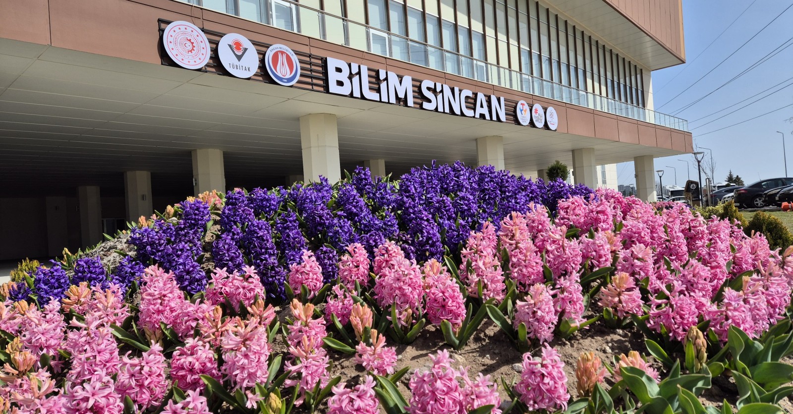 BİLİM SİNCANDA YAZ EĞİTİM PROGRAMI