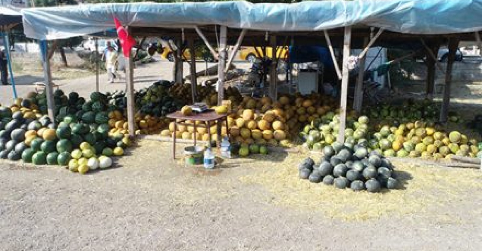 SİNCAN’IN MEŞHUR KAVUNLARI ARTIK YENİKENT PAZARINDA