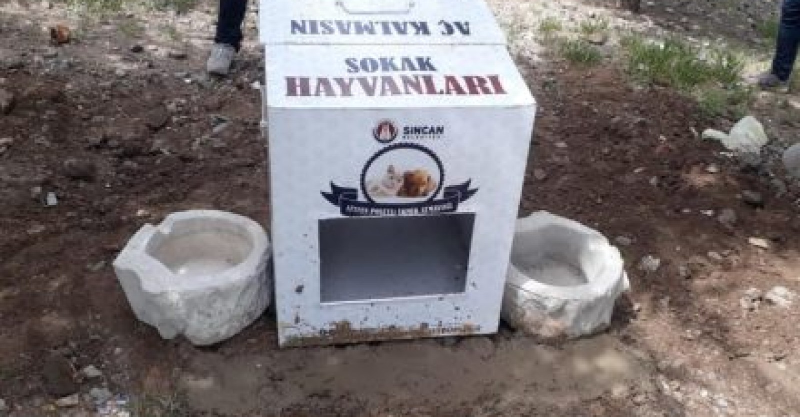 Sokak hayvanlarımızın yanında olmaya devam ediyoruz.