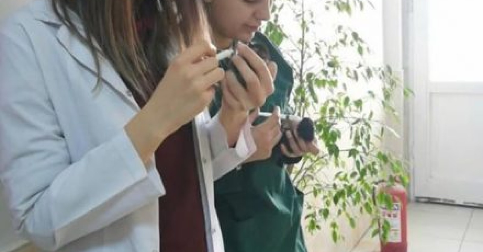 Sevimli dostlarımız emin ellerde!