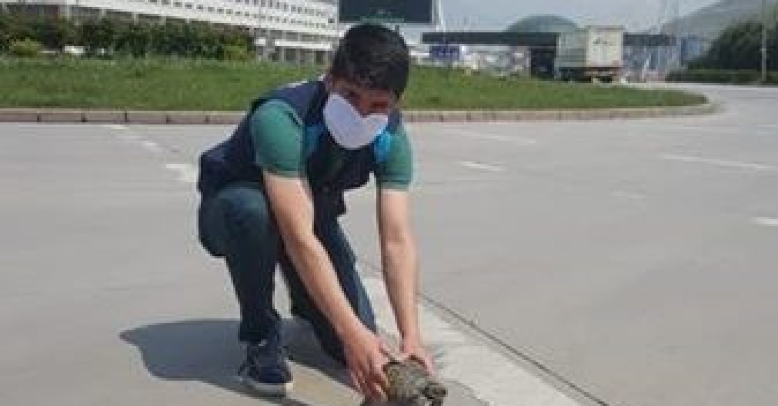 Yolda ezilme tehlikesi yaşayan minik kamlumbağa ekiplerimiz tarafından alınarak doğal yaşam alanına bırakıldı.