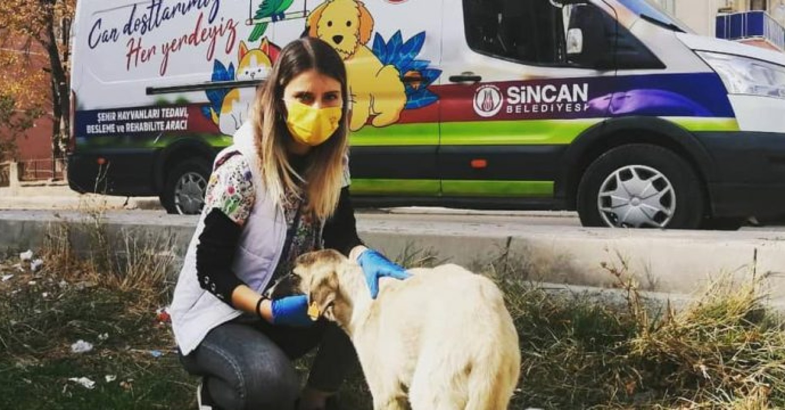 Minik dostlarımızın bakım ve tedavileri için özenle çalışıyor, acil müdahale aracımız ile sokak hayvanlarına can olmaya devam ediyoruz.