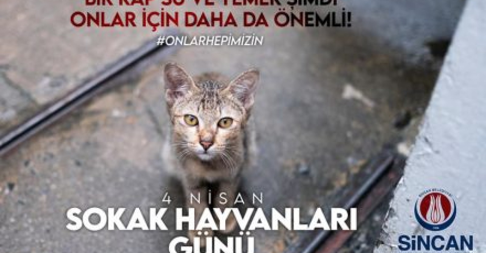 Can dostlarımız iyi ki varlar…