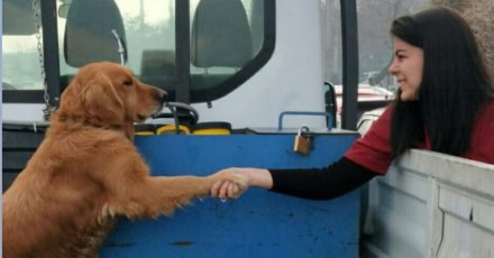 SİNCAN BELEDİYESİ HAYVAN DOSTLARIMIZI ÇOCUKLARLA BULUŞTURUYOR